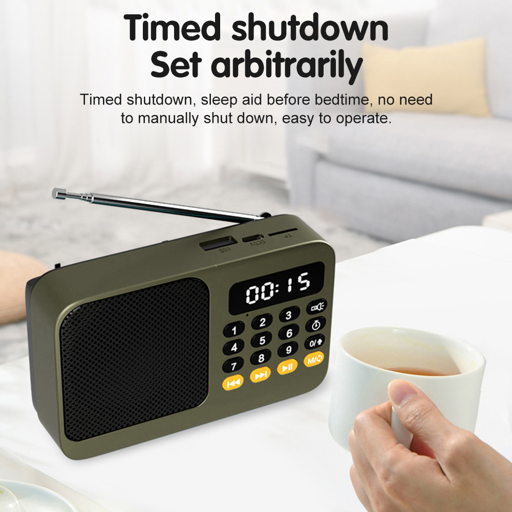Handheld Rechargeable Digital  - огляд і ціна Audio Music Play