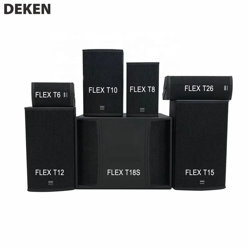 FLEX-T10 10 Inch 2 Unit 2 Way  - огляд і ціна Audio Music Dj