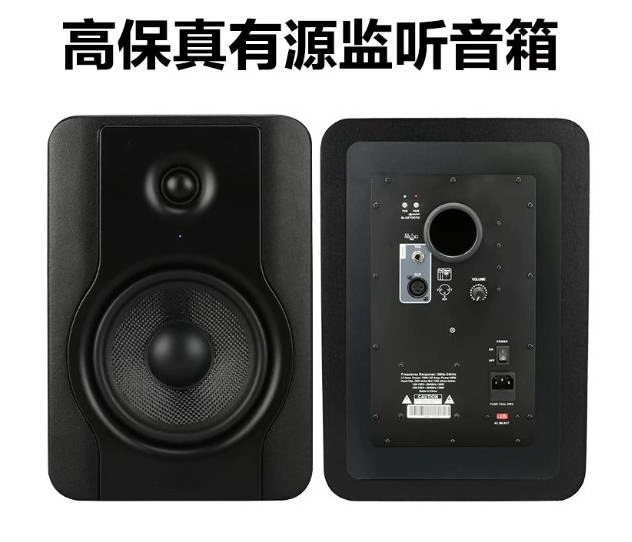 QS-500 Active Monitoring Speak - огляд і ціна Audio Music Production