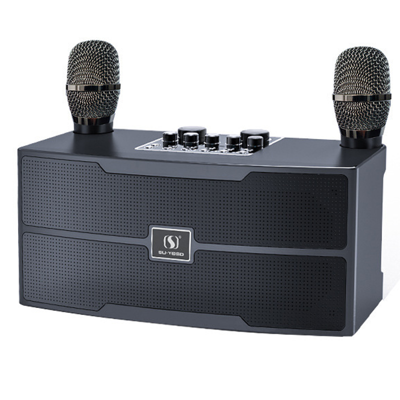 120W High Power Wireless Porta - огляд і ціна Audio Music Apple